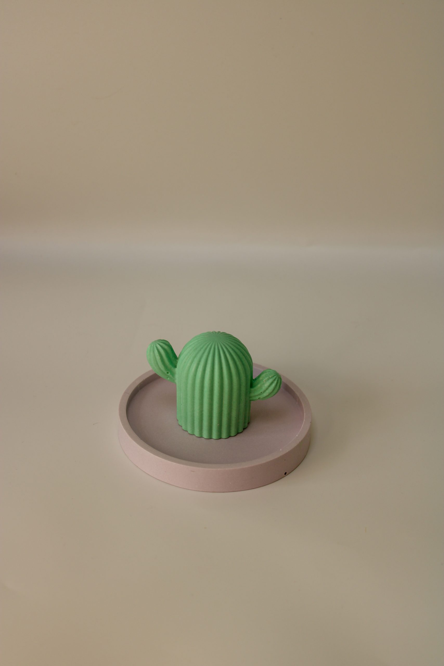 Cereus - vide poche cactus