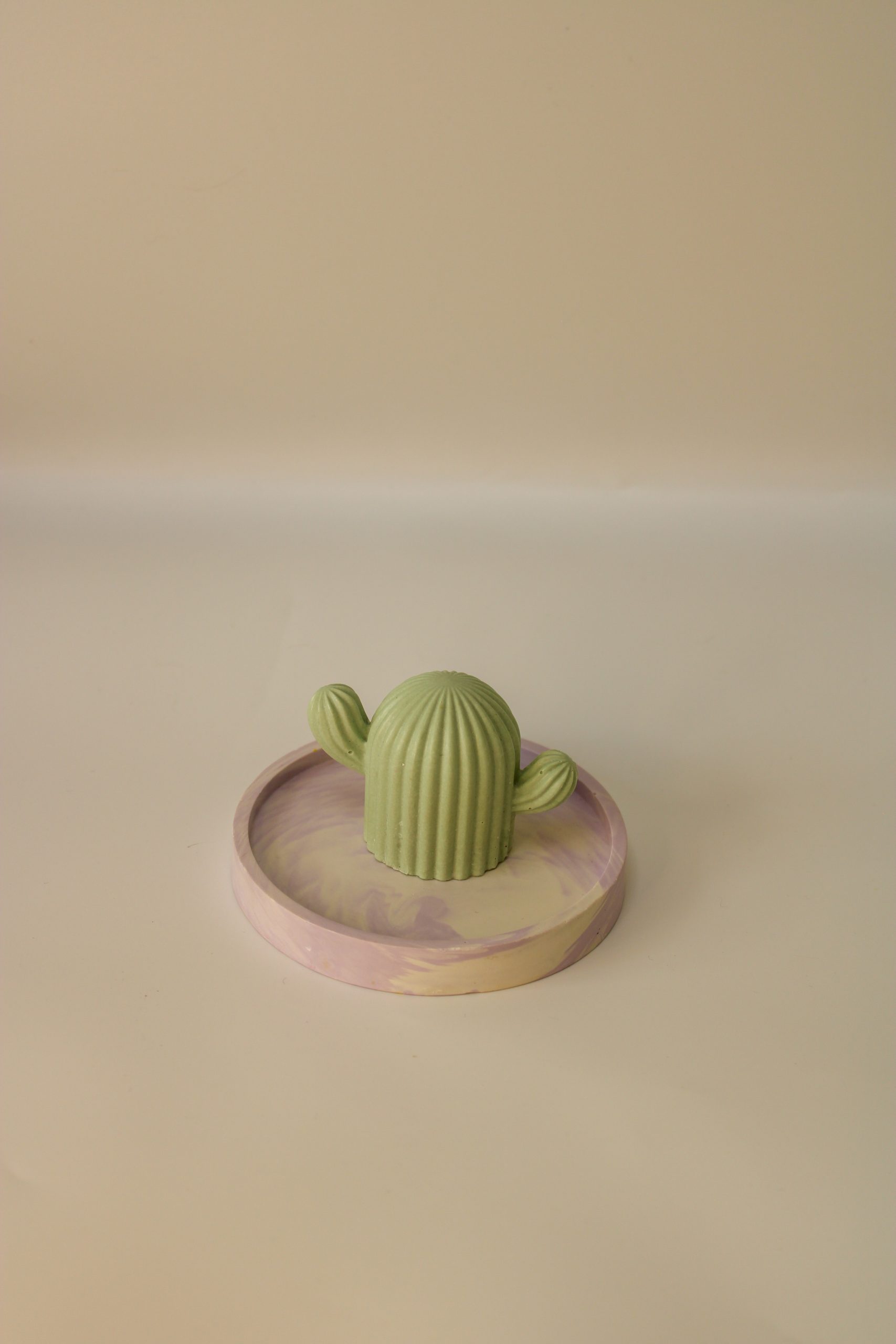 Cereus - vide poche cactus